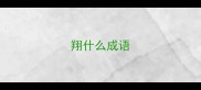 翔什么成语
