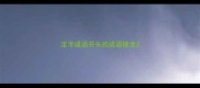 定字成语开头的成语接龙