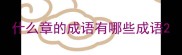什么章的成语有哪些成语