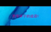 莘莘学子的成语