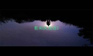 影和凤成语