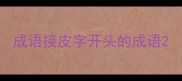 成语接皮字开头的成语