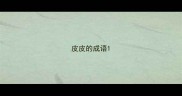 皮皮的成语