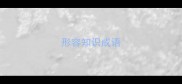 形容知识成语