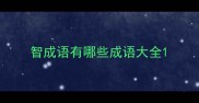 智成语有哪些成语大全