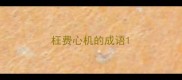 枉费心机的成语