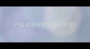 严丝成语有哪些成语大全