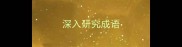 深入研究成语