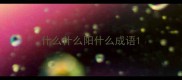 什么什么阳什么成语