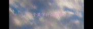 一个美字什么成语