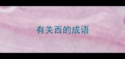 有关西的成语