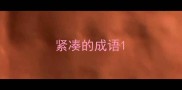 紧凑的成语