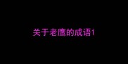 关于老鹰的成语
