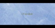 X不血X成语