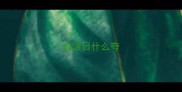 成语日什么夸