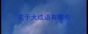 关于大成语有哪些