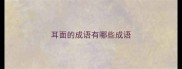 耳面的成语有哪些成语