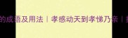 100个形容孝心的成语及用法孝感动天到孝悌乃亲推荐传统文化篇