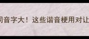 四字成语同音字大这些谐音梗用对让表达更高级