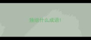 独组什么成语