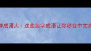 鱼群成语大这些鱼字成语让你秒变中文高手