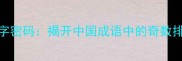 13579数字密码揭开中国成语中的奇数排列智慧