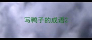 写鸭子的成语