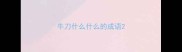 牛刀什么什么的成语