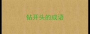钻开头的成语