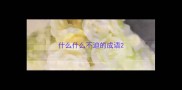 什么什么不迫的成语