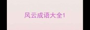 风云成语大全
