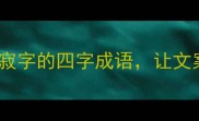 寂然入魂这12个带寂字的四字成语让文案瞬间高级感拉满