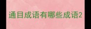 通目成语有哪些成语