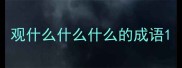 观什么什么什么的成语