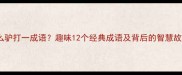什么驴打一成语趣味12个经典成语及背后的智慧故事