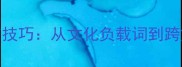 汉语成语英译策略与技巧从文化负载词到跨文化交际的实践研究