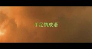 手足情成语