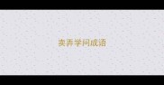 卖弄学问成语