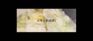 从开头的成语