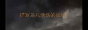 描写鸟儿活动的成语