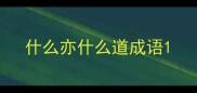 什么亦什么道成语