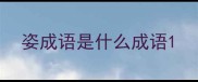 姿成语是什么成语