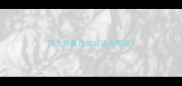 四个带颜色的成语有哪些