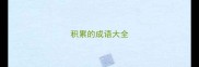 积累的成语大全
