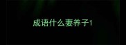 成语什么妻养子