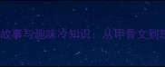 四字成语的历史故事与趣味冷知识从甲骨文到现代的智慧传承