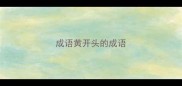 成语黄开头的成语