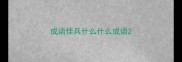 成语佳兵什么什么成语