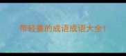 带轻重的成语成语大全