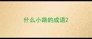 什么小路的成语